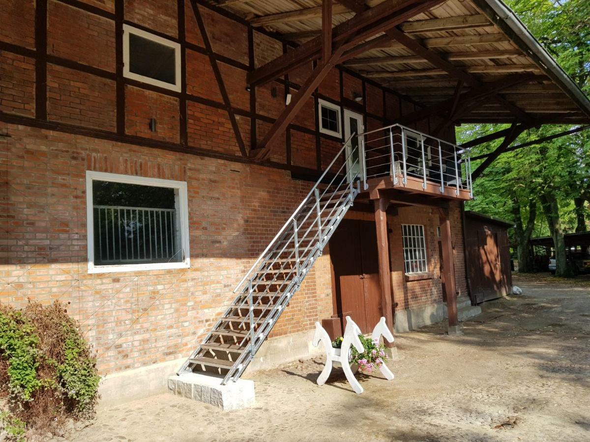 Grosse, Helle Ferienwohnung Mit 2 Balkonen Auf Dem Bauernhof In Der Lueneburger Heide Oetzen Exteriér fotografie